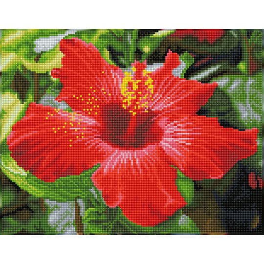 Diamond Dotz® Intermediate Hibiscus in Bloom Pre-Framed Diamond Painting Kit